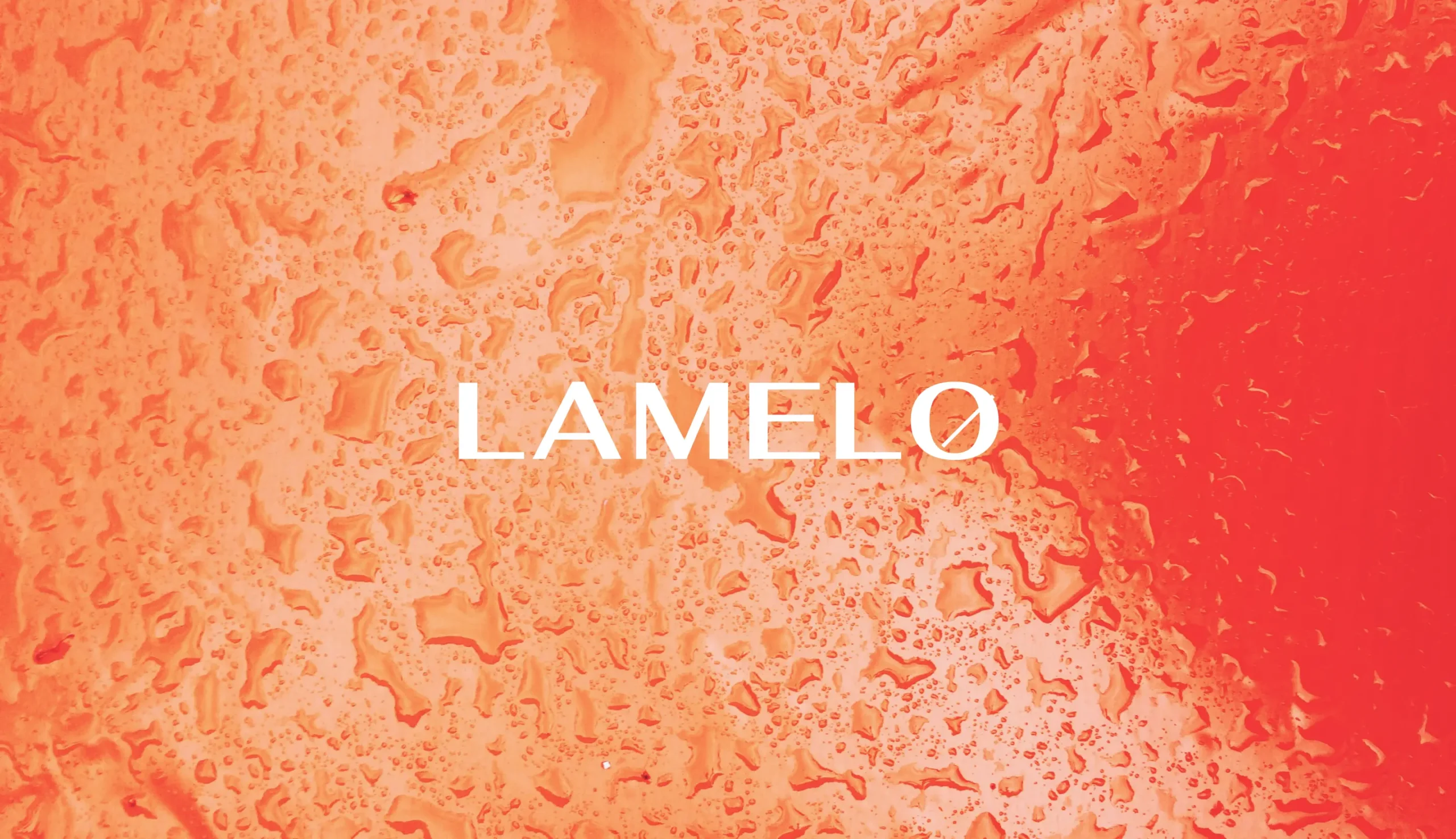 Lamelo banner
