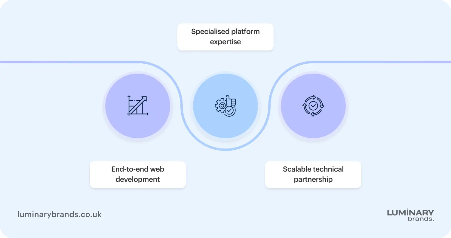 what is a web development agency