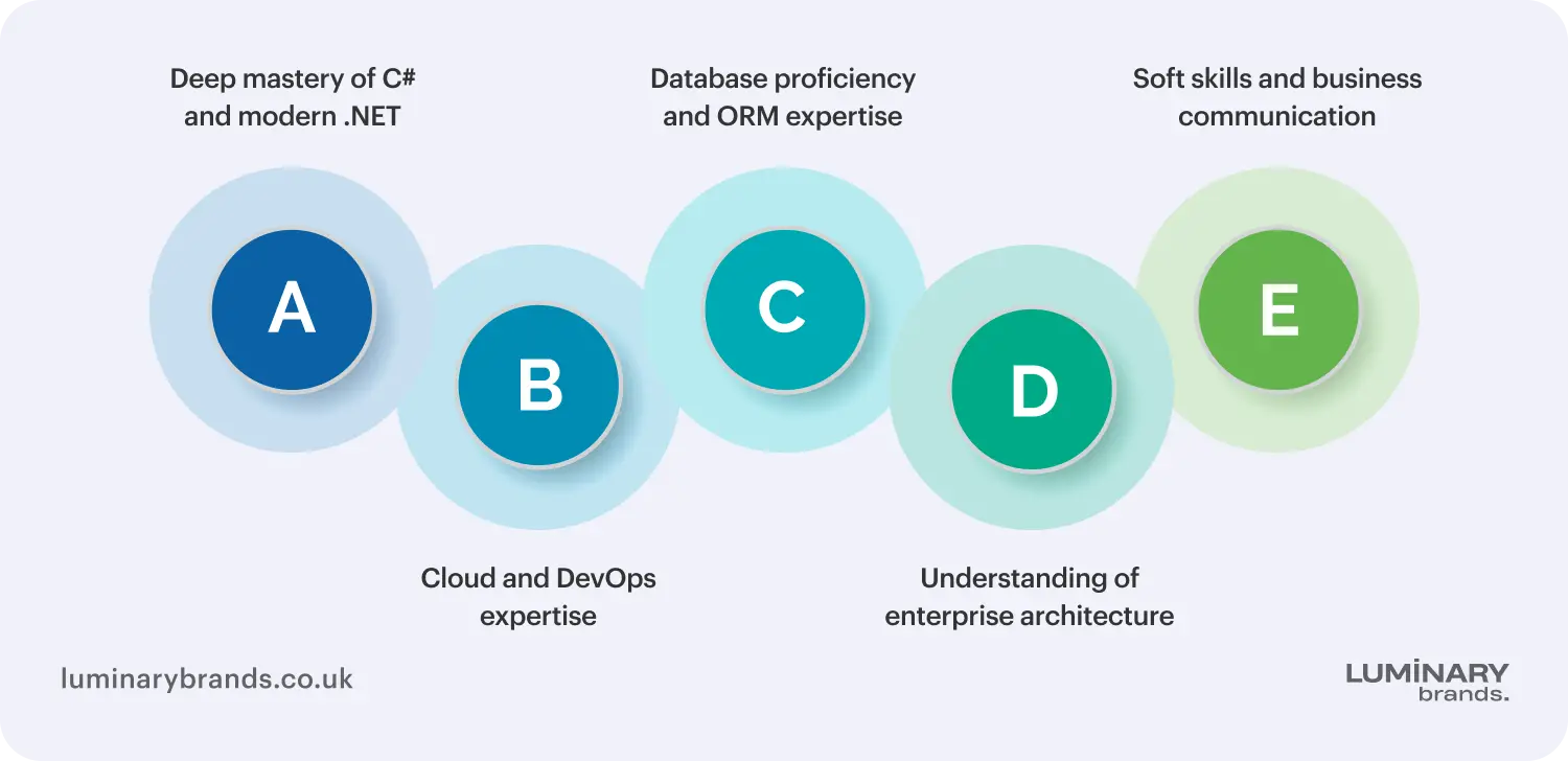 essential skills to look for when you hire a net developer